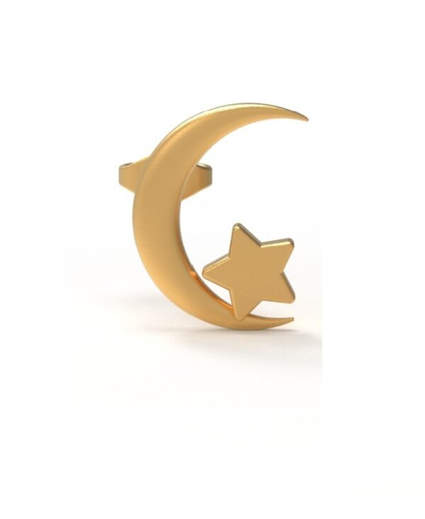 Moonlit Star Earrings - Image 4